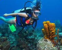 Amazing Andaman