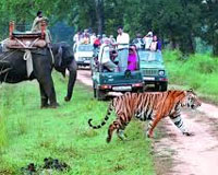 Nainital & Corbett Tour